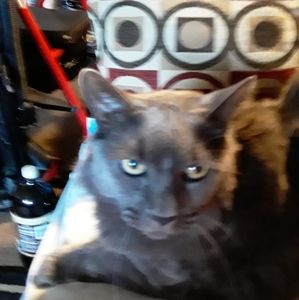 Meet your Posher, Jane